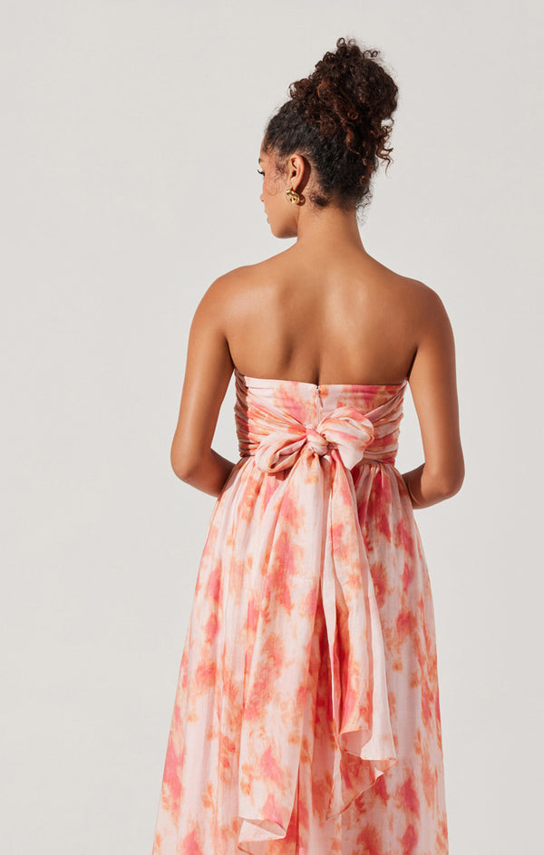 Aneesha Dress