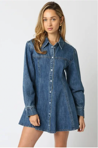 Angelina Denim Button Dress