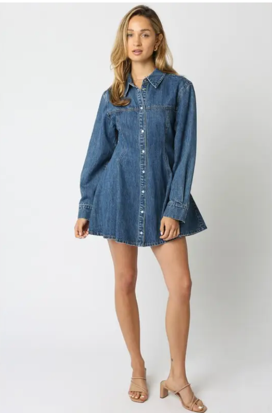 Angelina Denim Button Dress