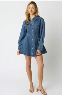 Angelina Denim Button Dress
