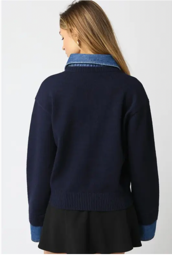 Triana Denim Knit Top