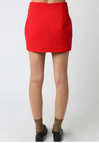 Renee Mini Skirt