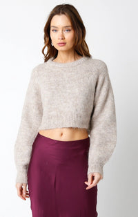 Clio Crop Sweater